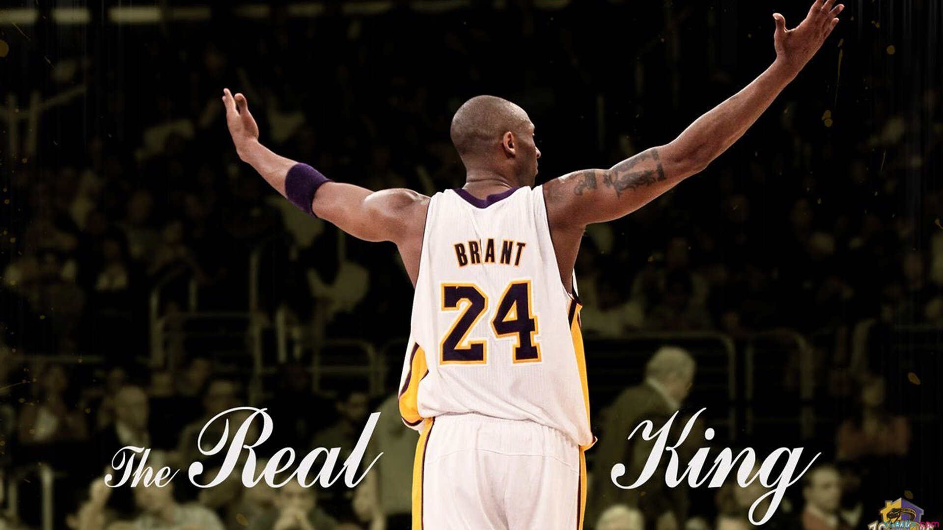 NBA球队粉丝增长策略，nba球队粉丝数